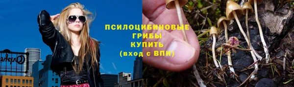 дмт Майский