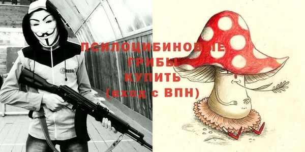 спиды Липки