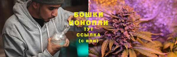 СК Медногорск