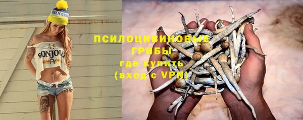 мескалин Медвежьегорск