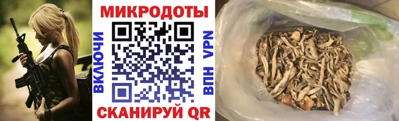 Галлюциногенные грибы Psilocybe  сколько стоит  Кулебаки 