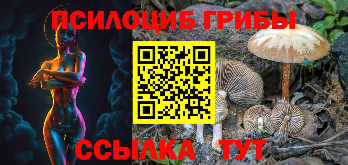 Кулебаки  купить   Вход с VPN  Галлюциногенные грибы GOLDEN TEACHER 