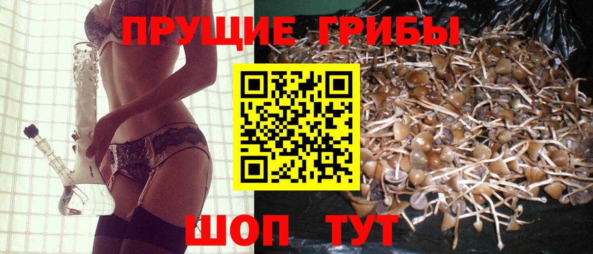 Псилоцибиновые грибы MAGIC MUSHROOMS Кулебаки