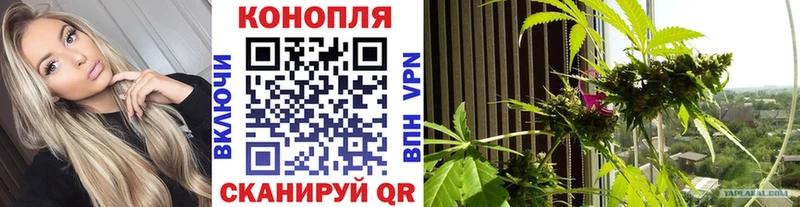 KRAKEN вход  Кулебаки  Бошки марихуана SATIVA & INDICA 